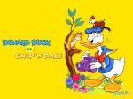 Donald_Duck_vs_Chip_n_Dale.jpg