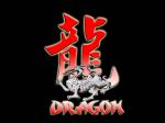 Dragon22