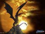 Dragons 031