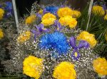 flowers_282