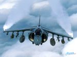 RAF_-_Harrier.jpg