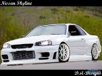 Nissan_Skyline_BNR34_by_danhateskevs.jpg