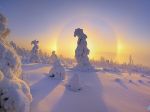 A ring of light surrounding a snow-covered tree.  Atmospheric ice crystals refract late evening sunlight and create a ring of light known as a halo, nimbus, icebow, or gloriole.  This is a natural optical phenomenon found at very cold temperatures. Erzgebirge, Saxony, Germany