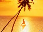 Sunset Sailing in Paradise.jpg