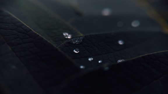טפט 4K תקריב מאקרו מרהיב של טיפות מים וצלילות קריסטל #004