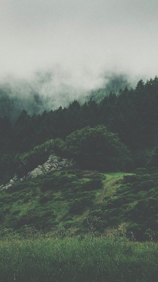 טפט 4K טבע לילי וצלליות דרמטיות למסך AMOLED #071