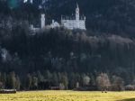 Neuschwanstein Castle sunny day 1080x1920
