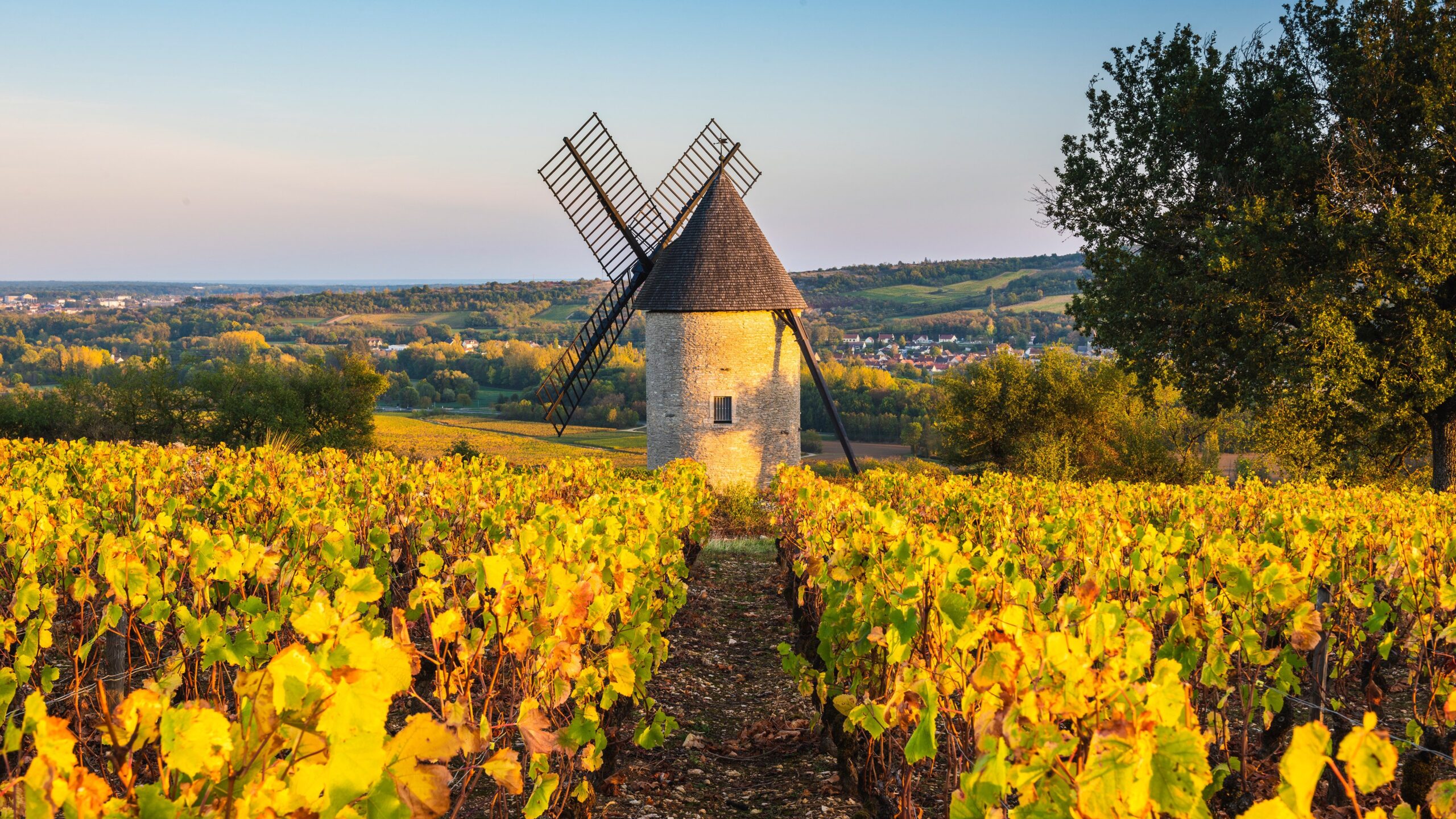 A toast to the harvest