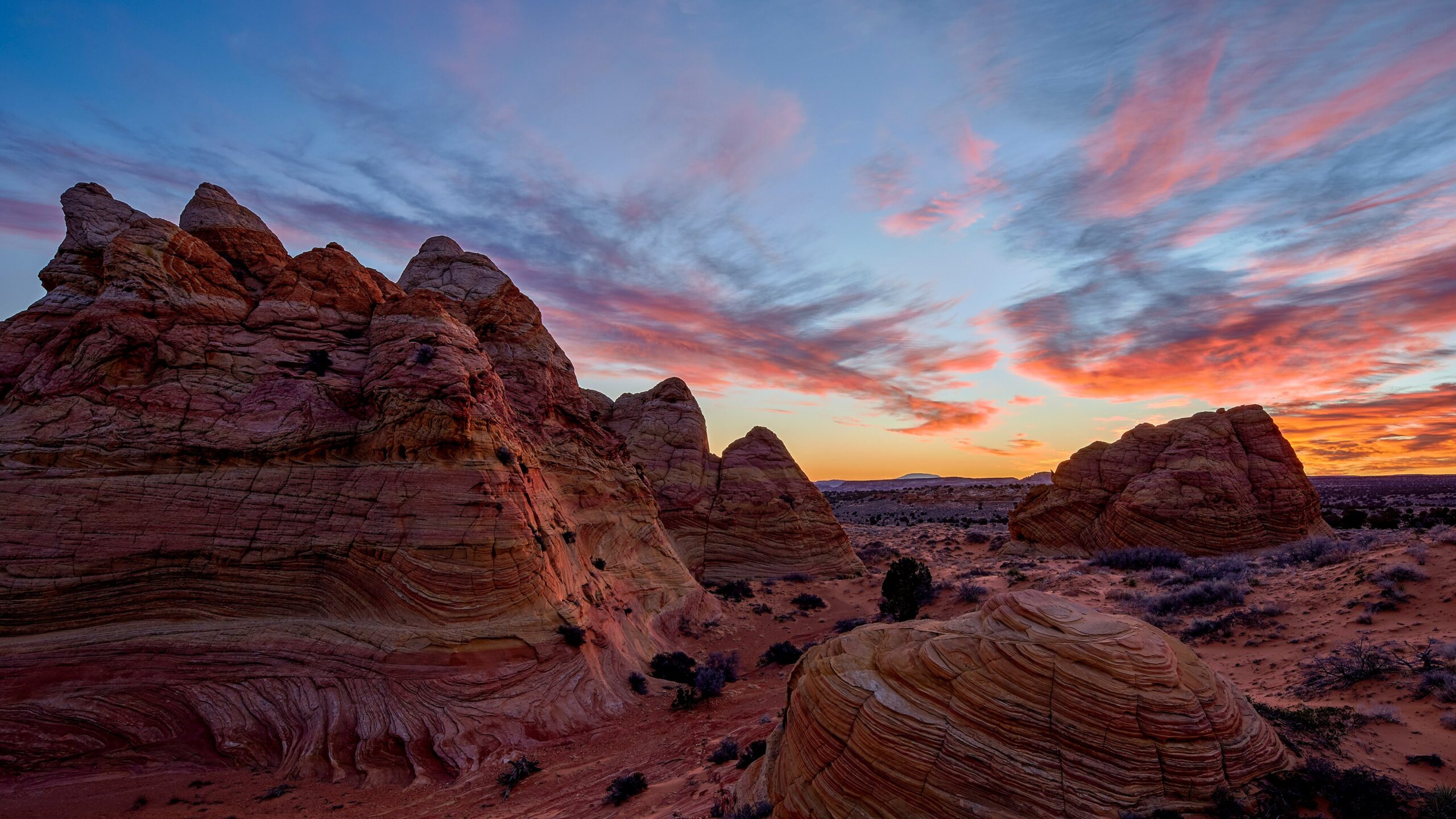 An act of wilderness