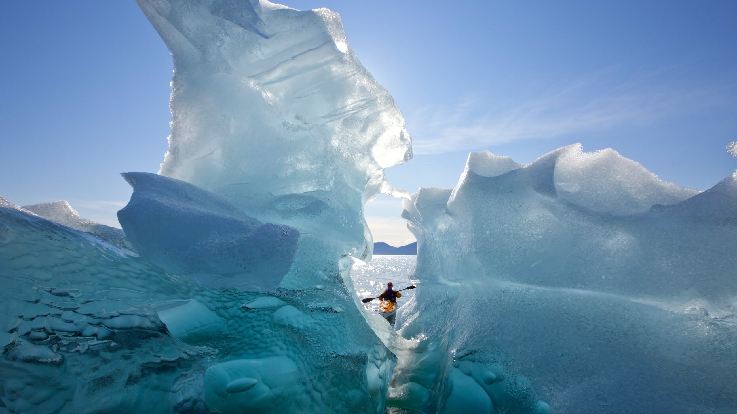 Kayaker on Tracy Arm, ג'ונו, אלסקה