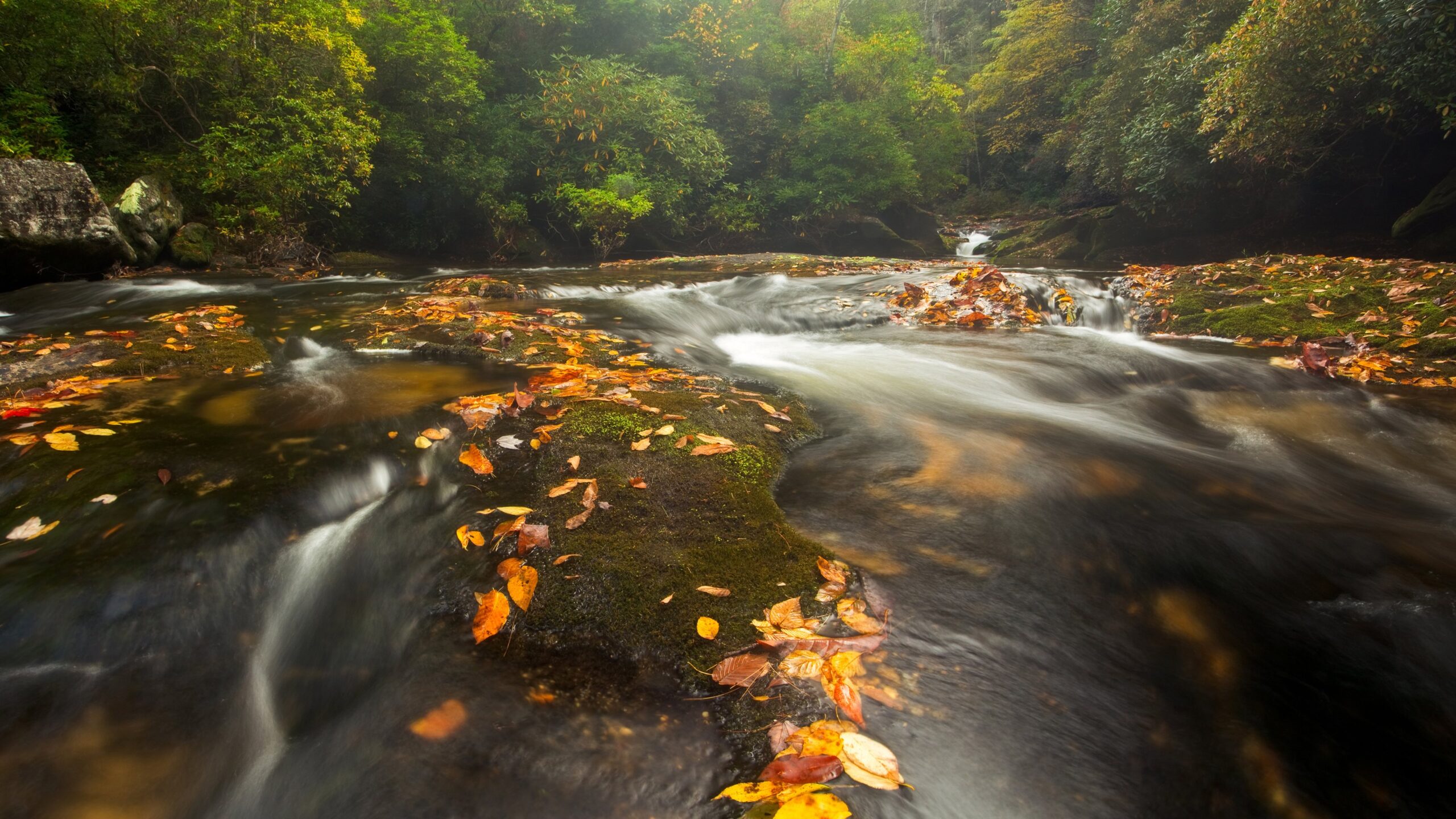 A river worth protecting