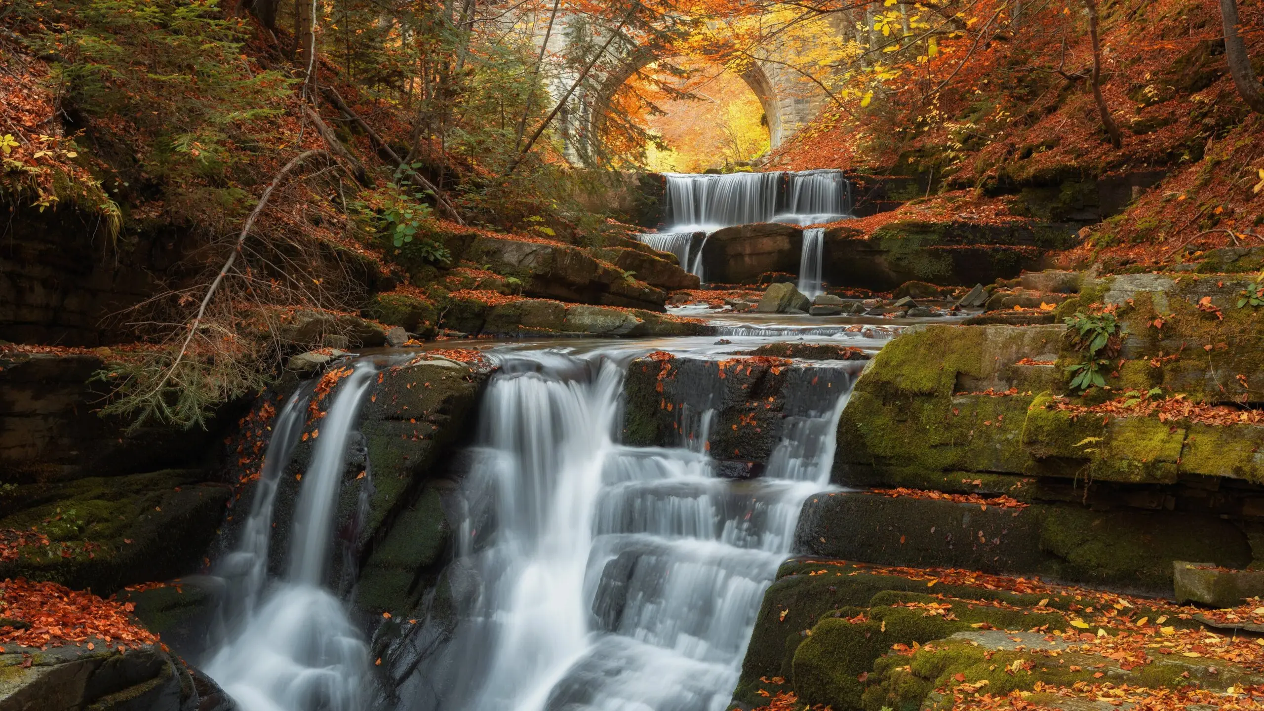 Nature's autumn soundtrack