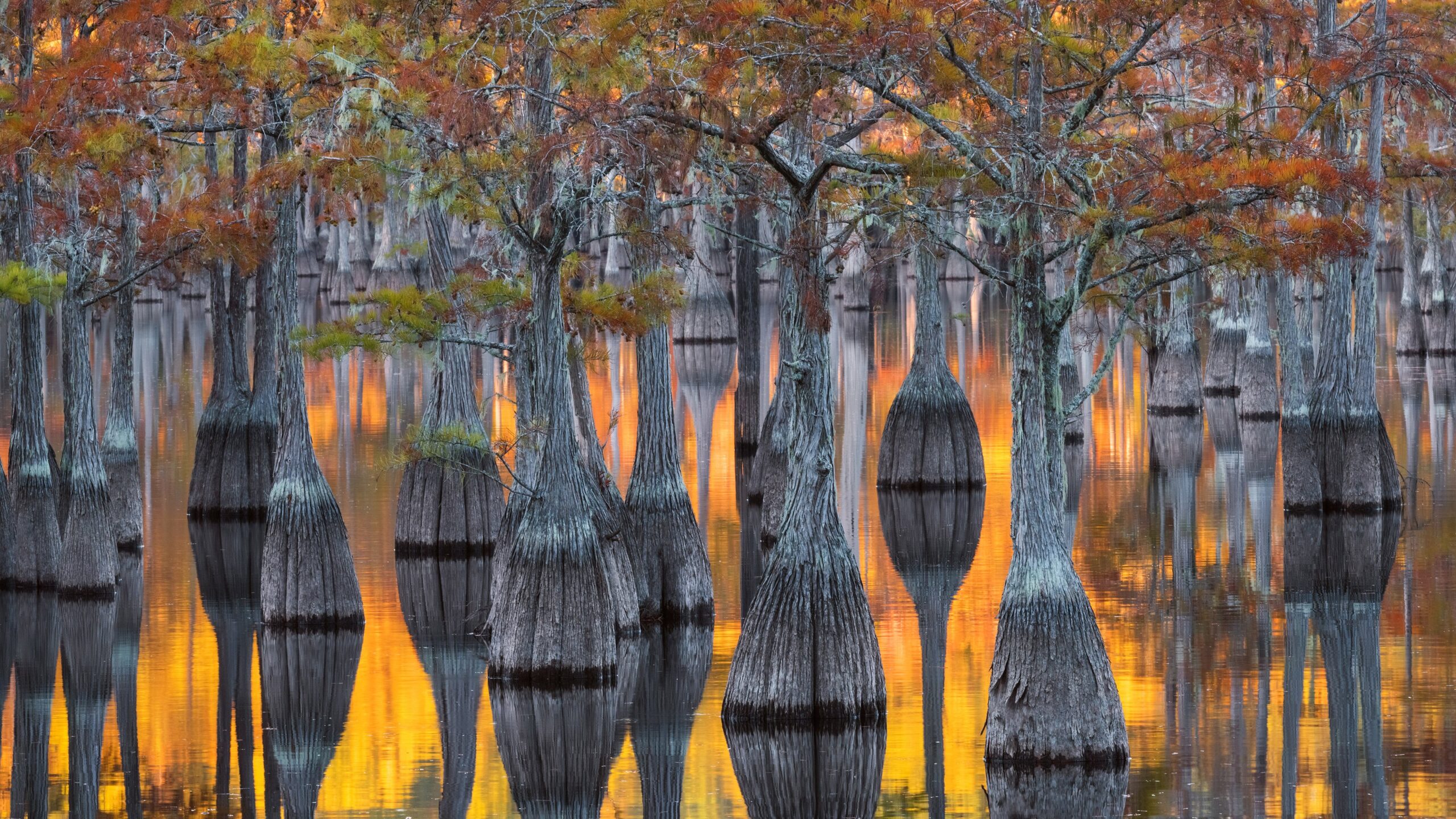 Nature's golden mirror