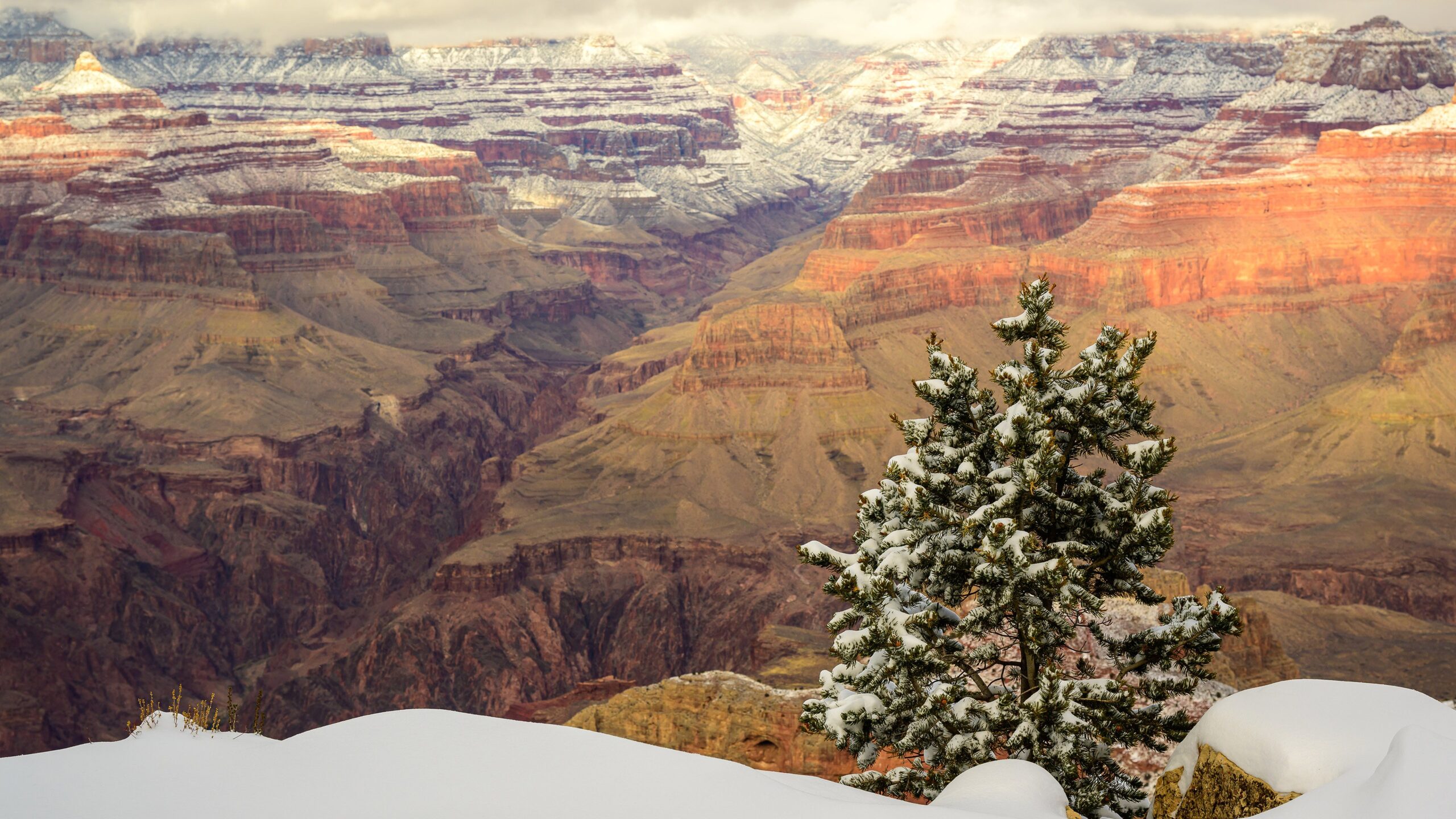 North Rim, הפארק הלאומי גרנד קניון